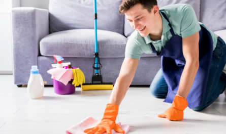 Empleo de Limpieza de Casas